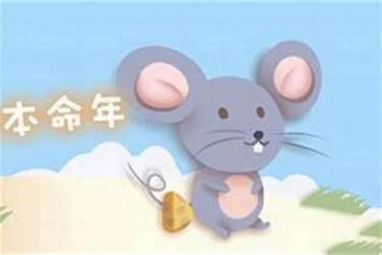 属鼠本命年结婚好吗