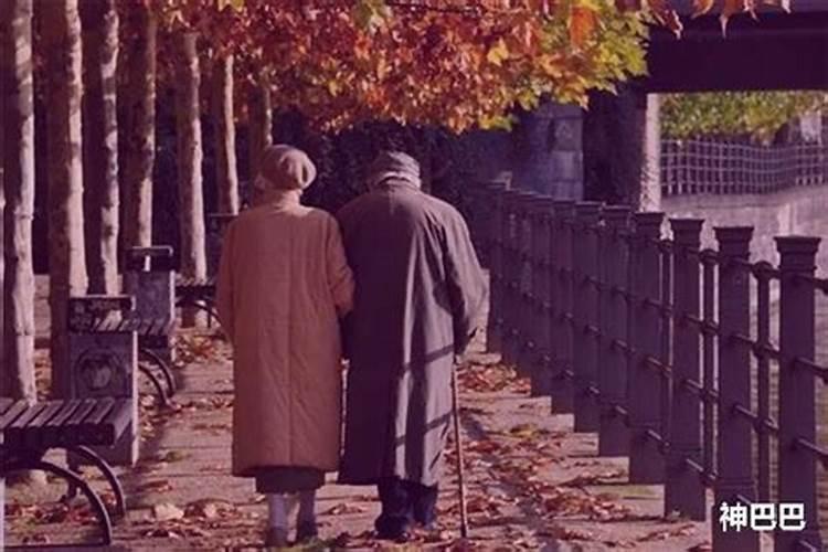 2025年82年狗女的全年运势如何