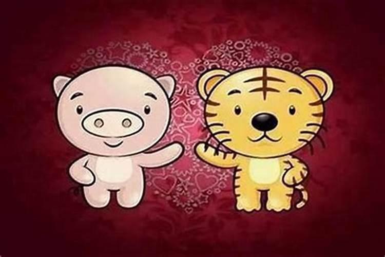 属虎最佳婚配前十名属相