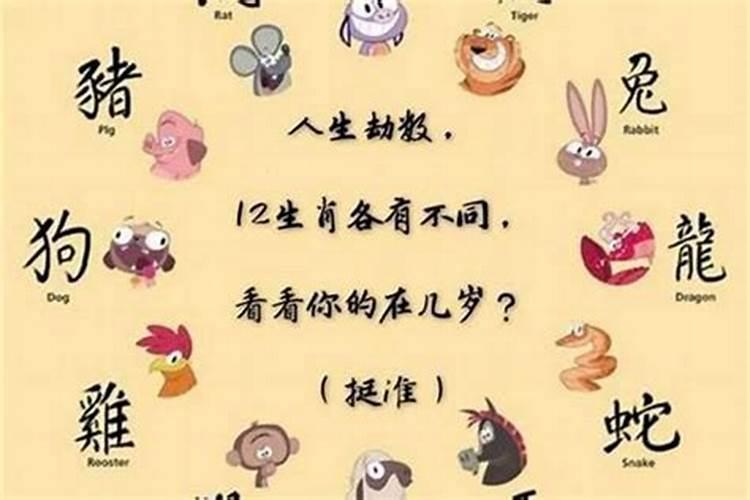 生辰八字婚配怎么算,五行相生相克婚配法