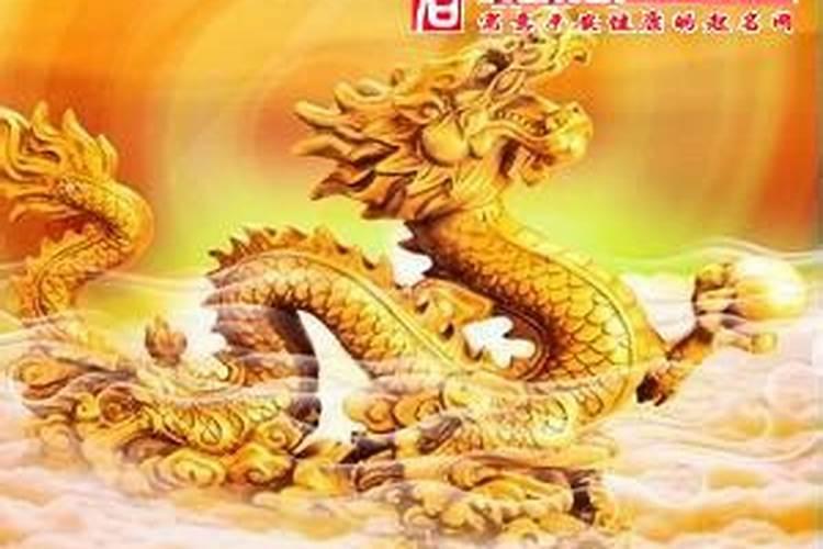 梦见龙在地上是什么意思？