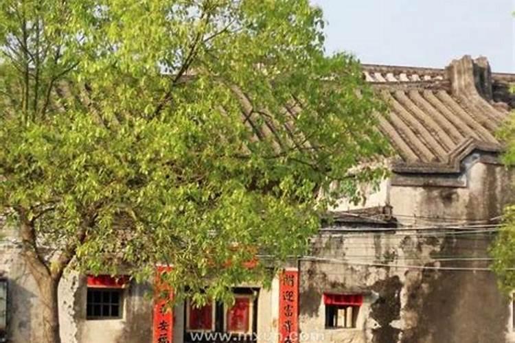 梦见回老家预示什么周公解梦梦见回老家什么预兆