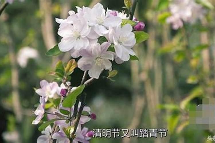 做生意遇到事情不顺利的解决办法