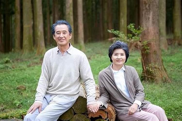 梦见猫进了我们家什么意思？