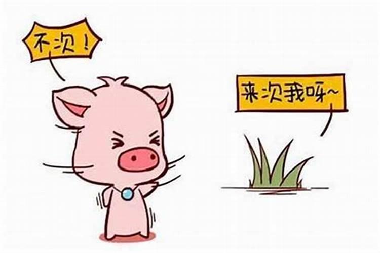 税务四合是什么意思？