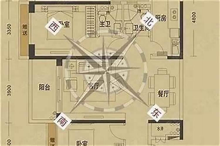 重阳节生日是什么星座 重阳节生日的星座