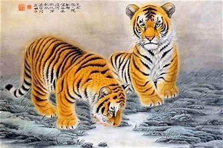 属虎的人本命年运气不好怎么化解