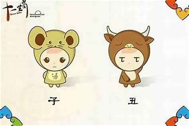 刚出生的小宝宝夭折了,父母可以祭拜吗？有什么忌讳？
