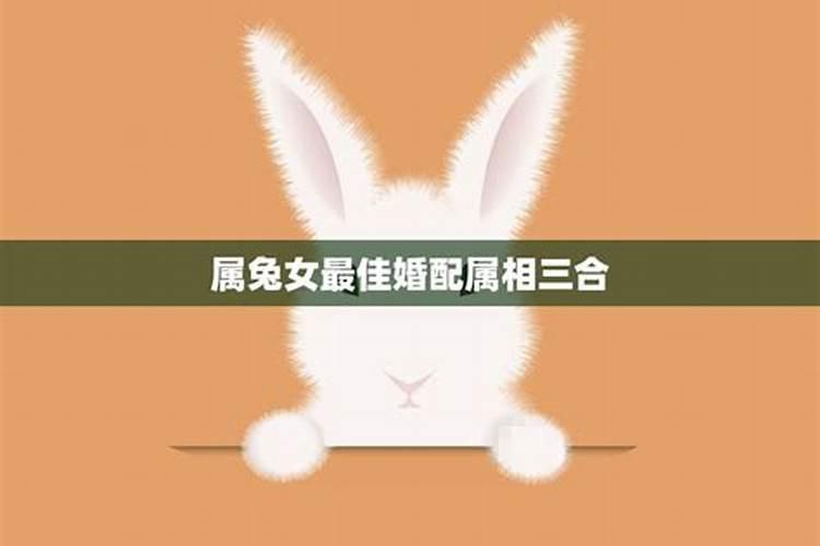 女属兔的和什么属相最配,属兔的和什么属相最配