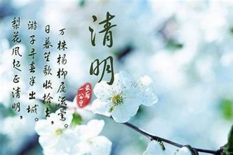 祭祀烧纸什么时间烧