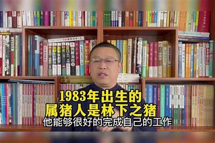 1983年狗是什么命 83年猪40岁后十年大运运程
