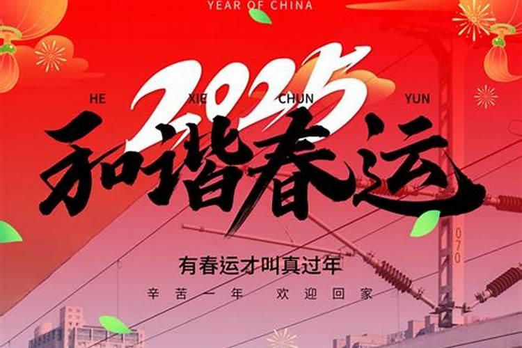 吴峥唐思佳小说名字