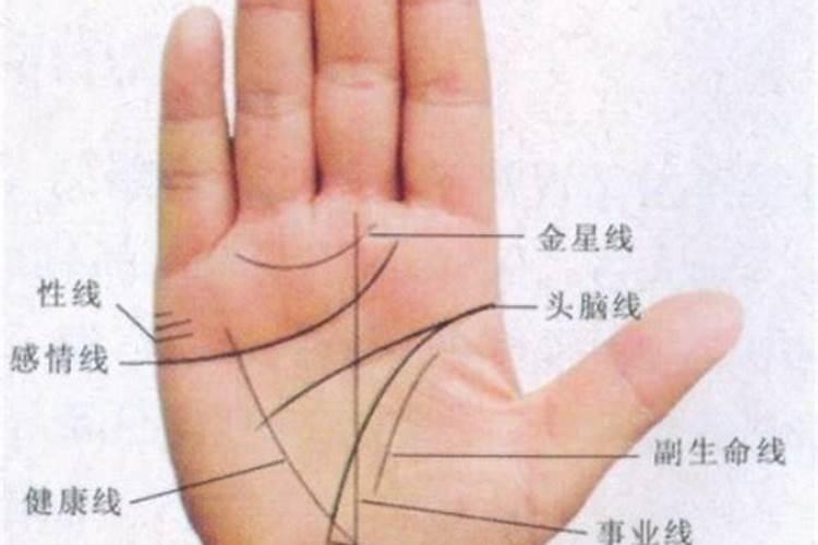 婚姻不顺的女人手相婚姻不顺的女人手相怎么看