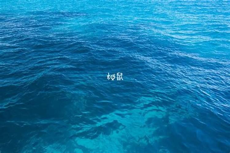 童子命的人去当道士可不可以化解