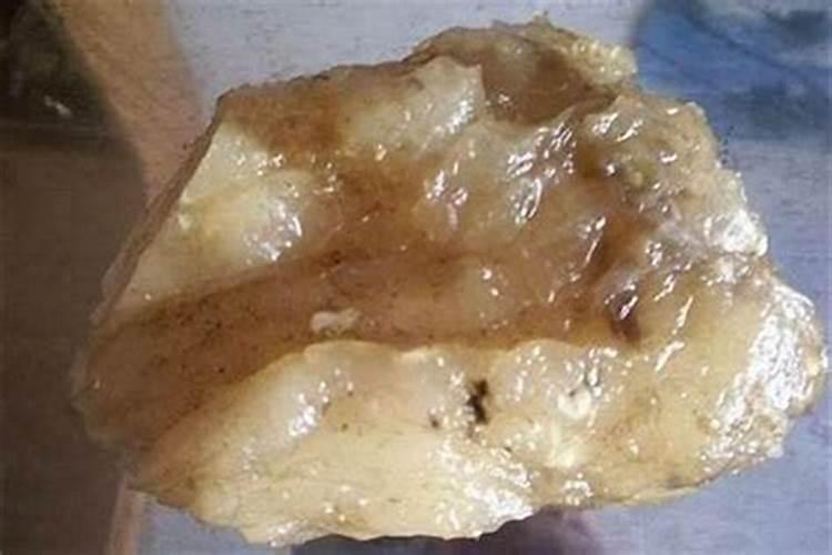在八字算命中大运是看干还是看支？