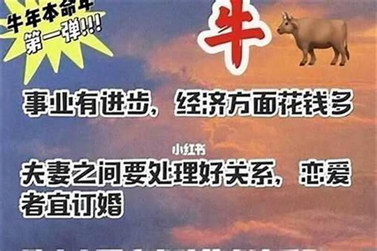 本命年运气差怎么办些化解办法