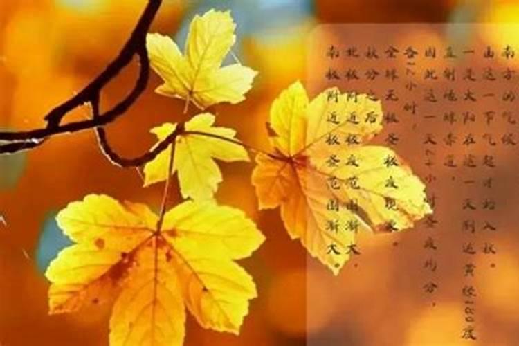 秋分后要注意些什么？