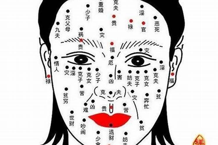 做梦梦到青蛇是什么征兆女性