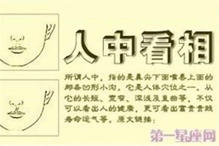 怎样学会算命