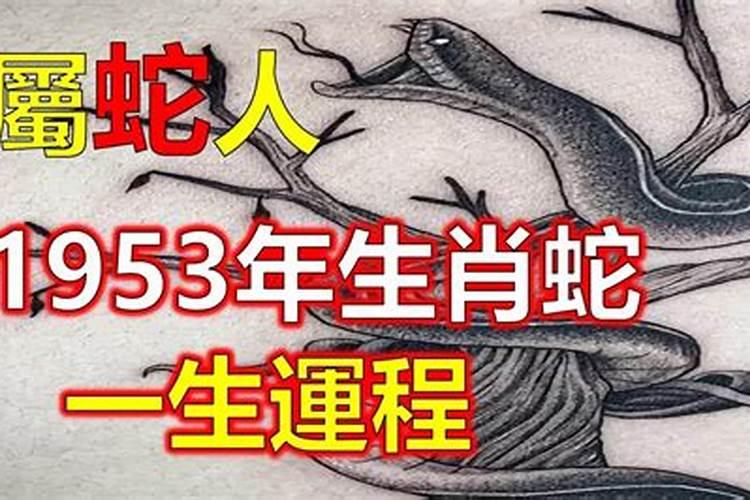 属虎2025年犯太岁怎么化解