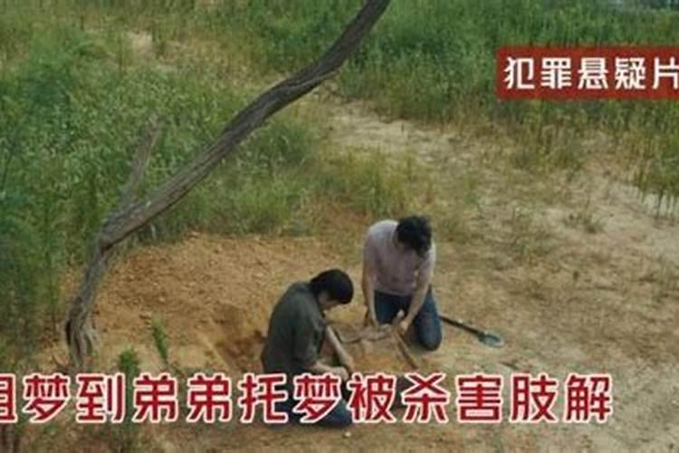 当医生的姐姐梦到弟弟被杀是什么电影