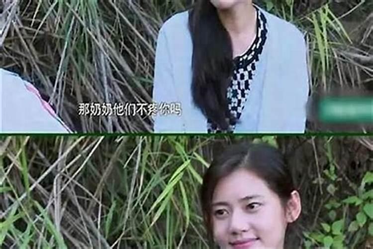 蔡天凤母亲梦见