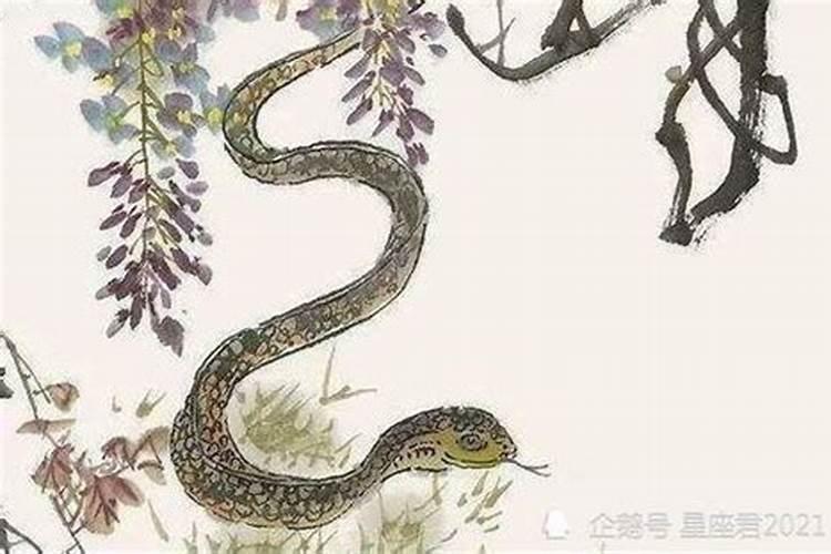 1977年属蛇人出生月的命运