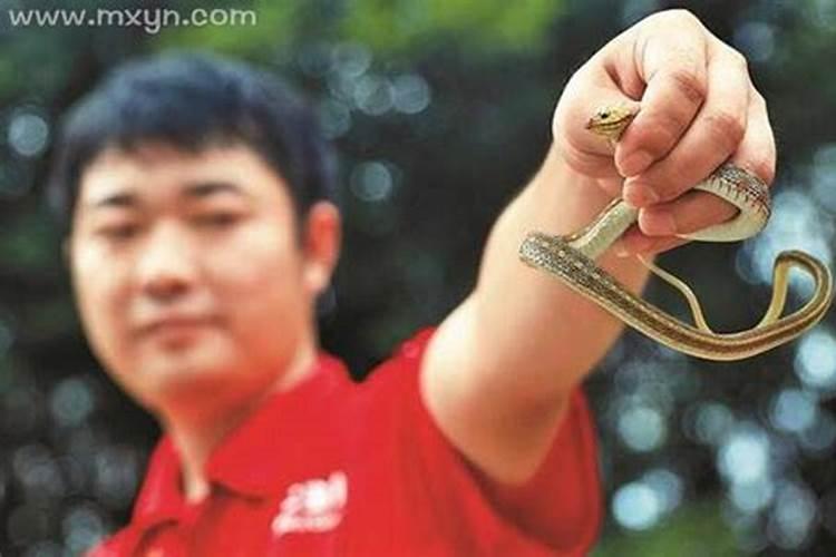梦见别人捉到蛇了是什么兆头