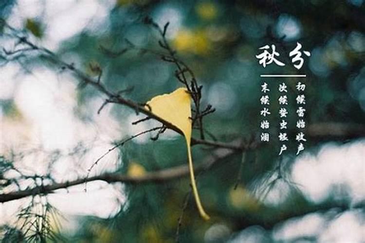 什么样的八字是好八字