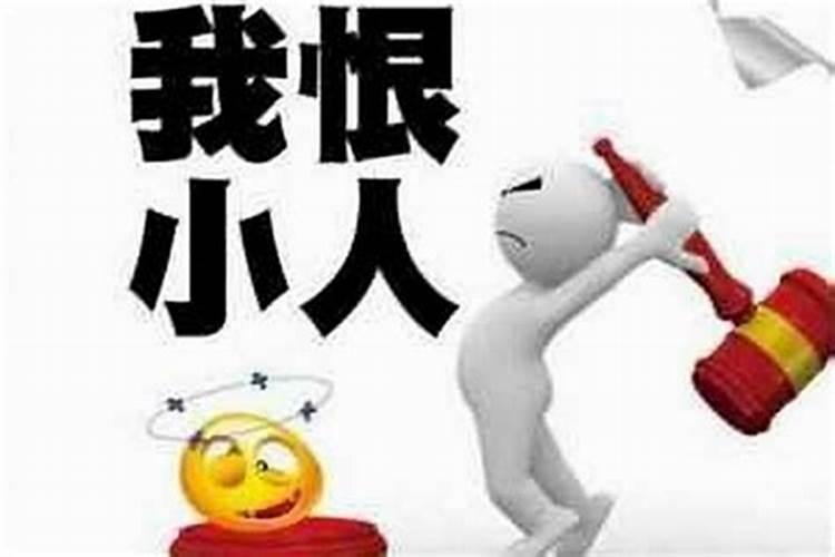 今年犯太岁的属相有哪些？