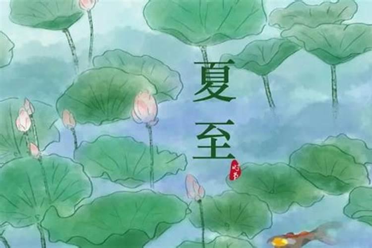 属羊人蛇年运势2025