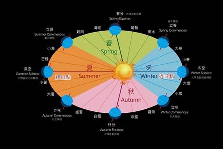羊在蛇年2025的运气如何