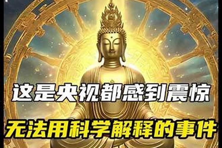 梦见老婆怀孕,孩子却不是自己的