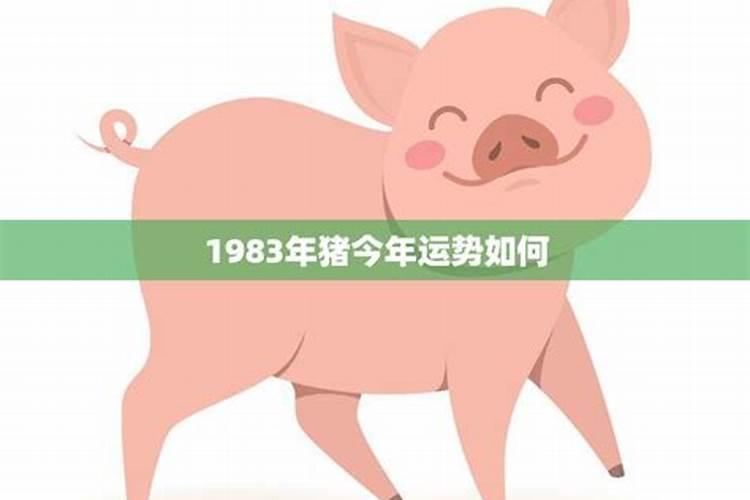 9月初9是什么节日有什么风俗