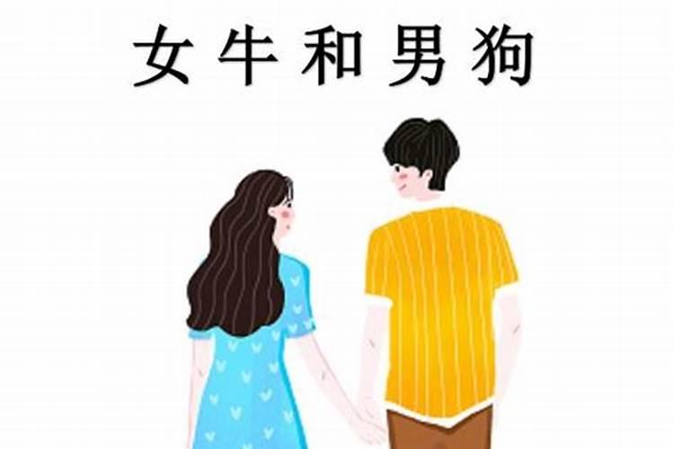 网上算八字会被利用吗,网上算命靠谱的大网站