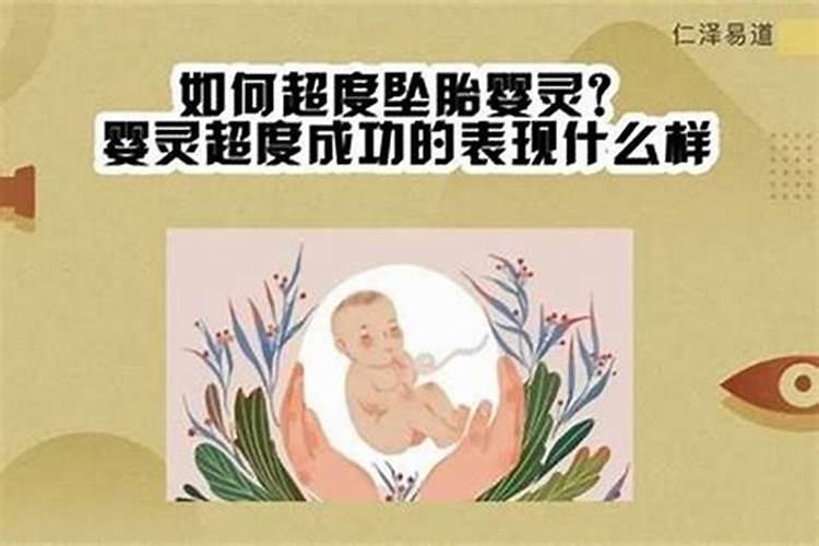 梦见大乌龟和鱼是什么意思？