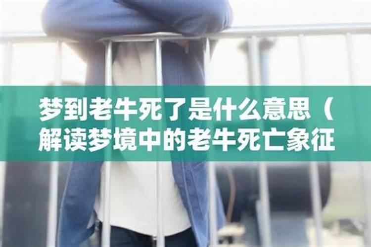 梦见老牛死了的预兆