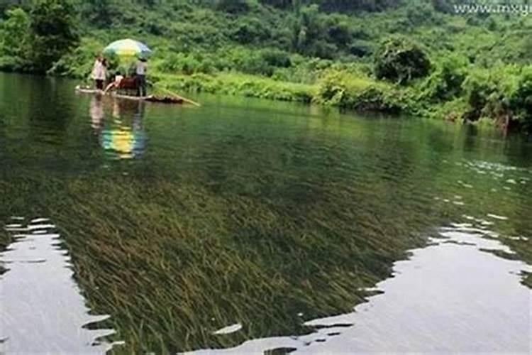 重阳节10个传统习俗