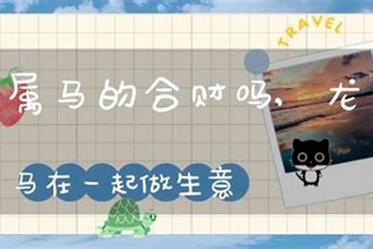 马和龙在一起有财运吗
