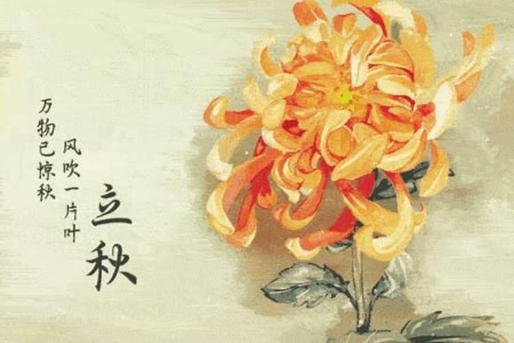 今年27周岁属啥的