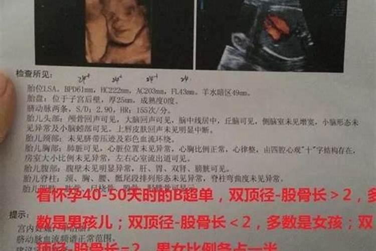 农历腊月生宝宝,请问什么时候怀孕