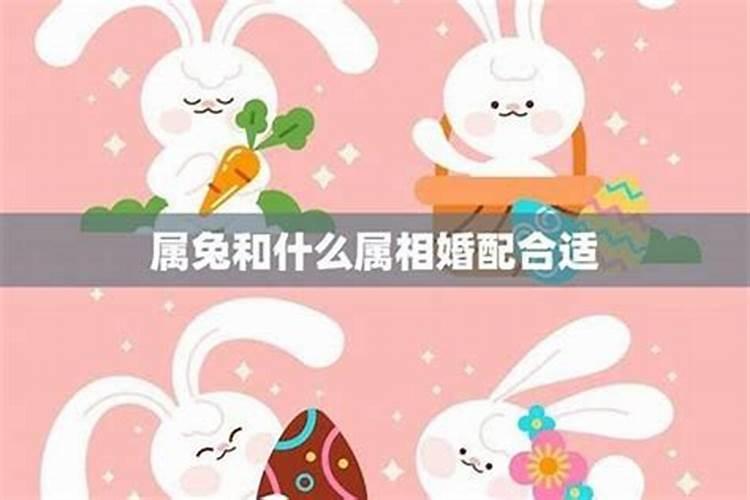 属兔的和属兔的结婚好吗