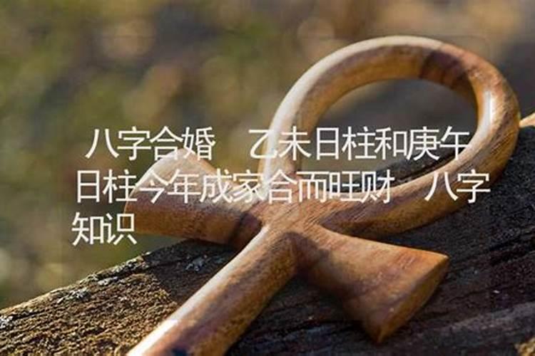 庚午日柱和乙未日柱是鸳鸯合吗？