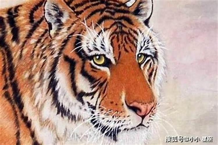 买花什么时候最旺