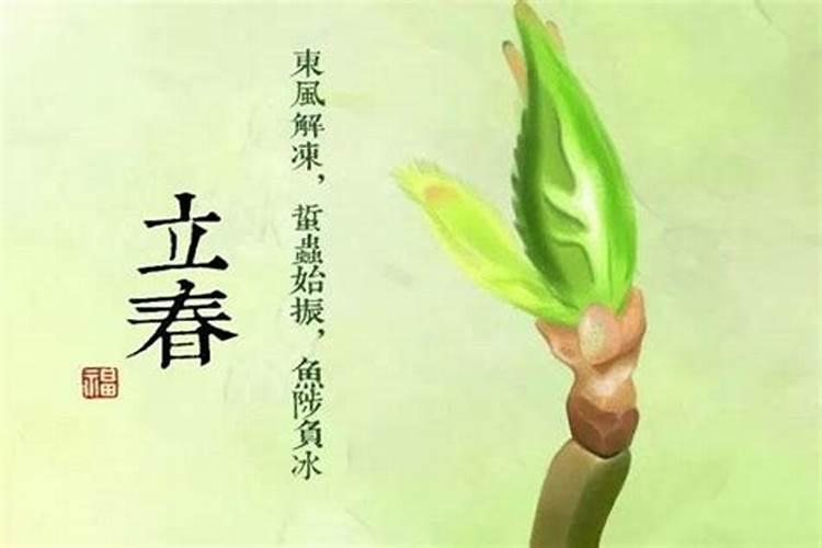 2025年立春习俗