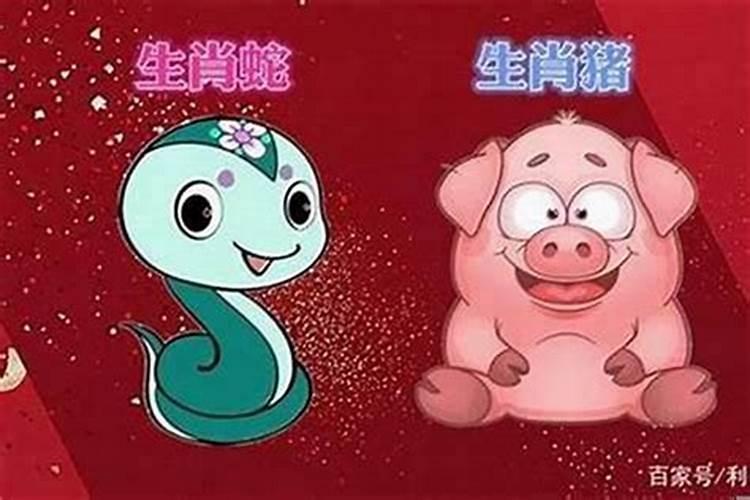 男猪与女蛇生辰八字怎样才合？