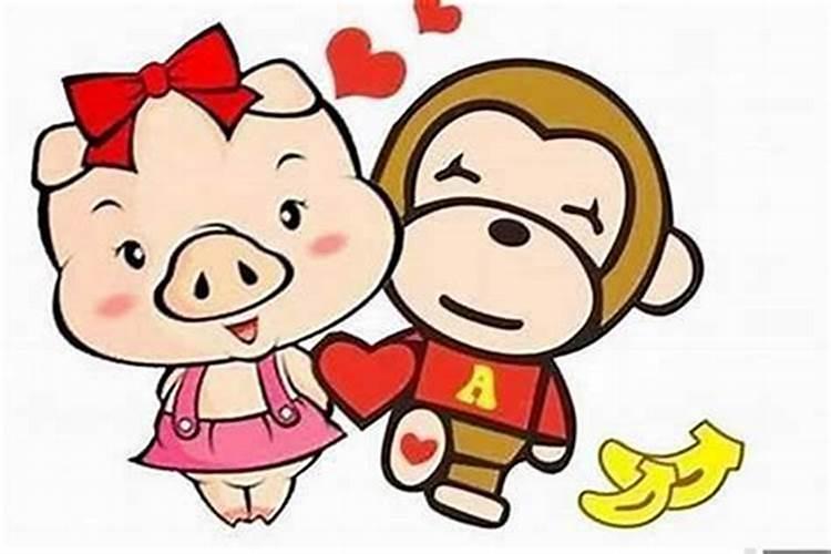 猪和蛇的属相能婚配吗,属猪和属蛇婚姻相配吗