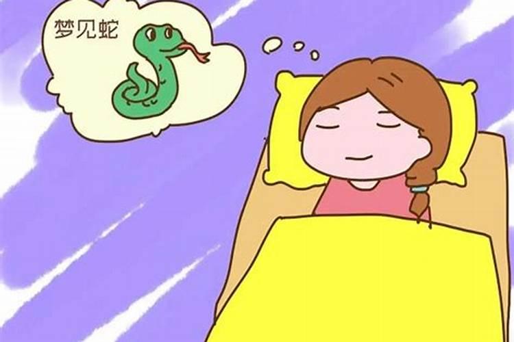 冬至活动主题名称有哪些？