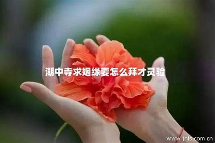 1969年属鸡人2025年的运势及运程