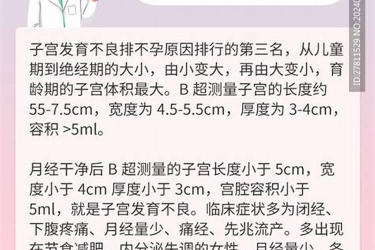 2025年5月6日12生肖运势